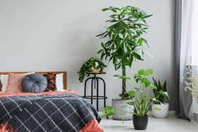 Stylish grey chair, black metal lamp, wooden bedside table and comfortable king size bed, real photo with copy space on the wall