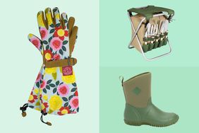 Collage of three gifts for gardeners we recommend on a green background