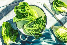 Romaine lettuce top view