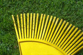 yellow rake on a healthy lawn