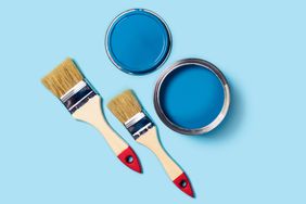 Photo for apartment repairs. Blue background with paint and two wooden tassels.