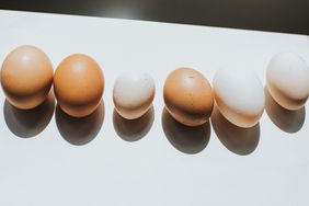 egg-size-differences