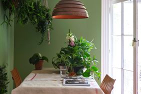 Entryway painted with Yeabridge Green paint color by Farrow & Ball