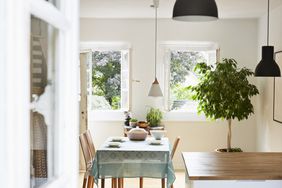 bright modern kitchen and dining room in an old country house and no window treatments