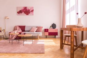 Pink toned living room 