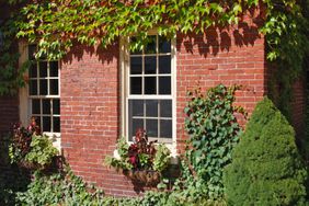 Brick home with ivy and window boxes