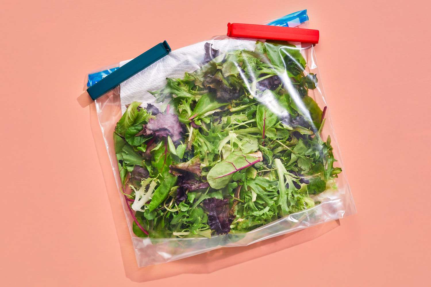 keeping-bagged-salad-fresh