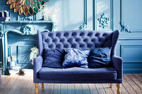 Living room with blue walls, blue sofa and silver