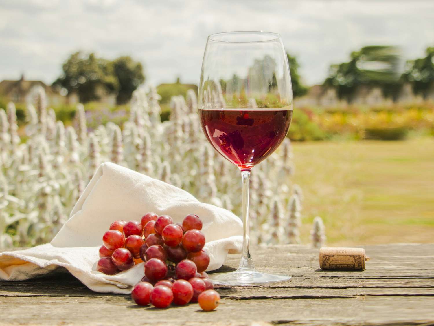 Red Grapes With Wineglass On Wooden Table in a Field