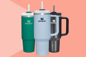 Amazon Stanley Tumbler Tout