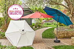 Three Patio Umbrellas we recommend displayed on a stone walkway in a garden