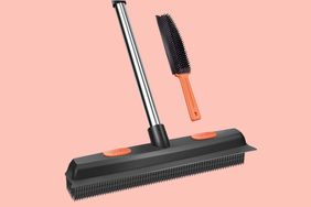 cleaning pet hair brusher