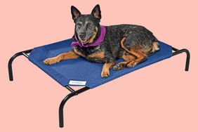 Cooling dog bed Amazon