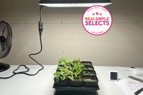 The Mars Hydro TS-1000 LED Grow Light above a plant pot