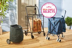 A variety of shopping carts on wood flooring near a door