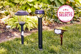 Best outdoor solar lights displayed in grass