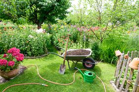 Wheelbarrow with compost in my garden for the flower beds