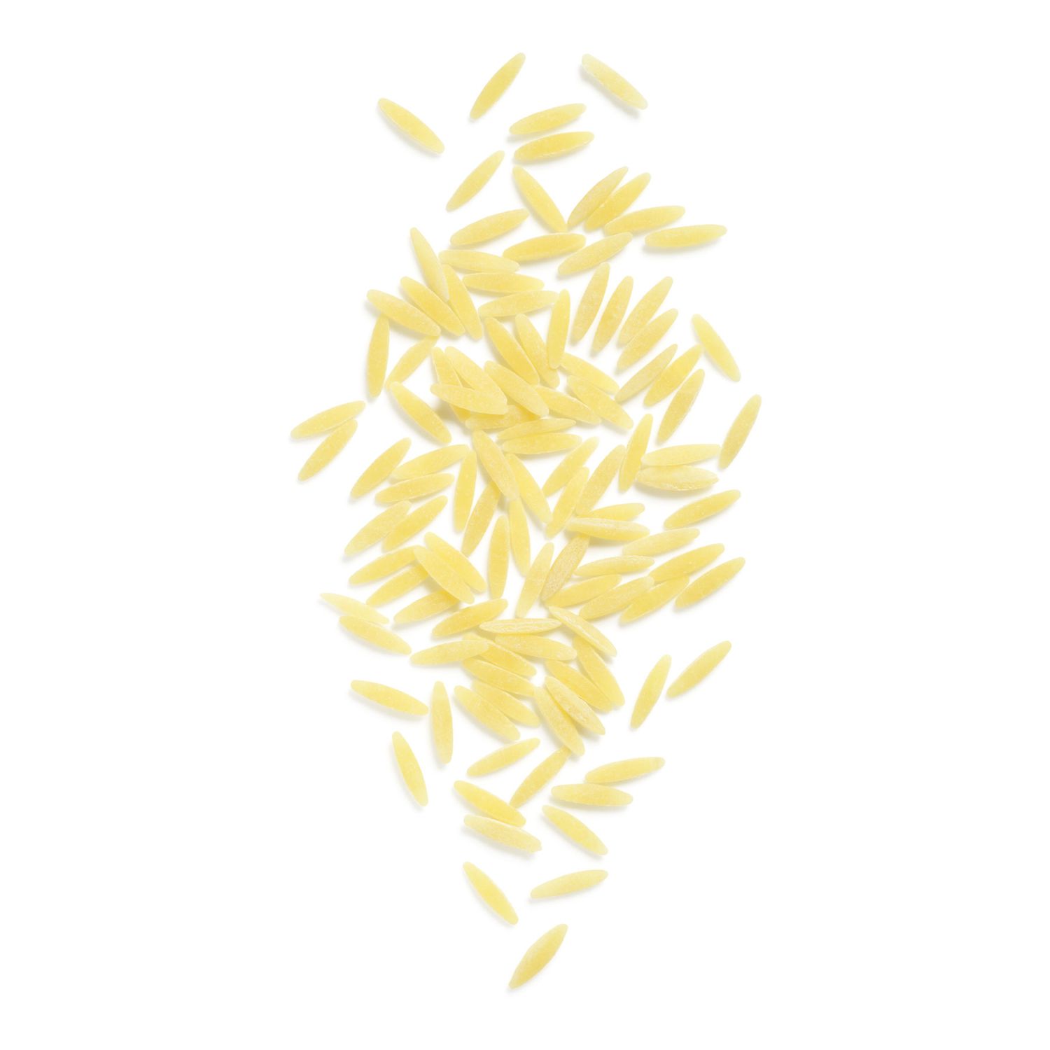 Types of pasta noodles - orzo