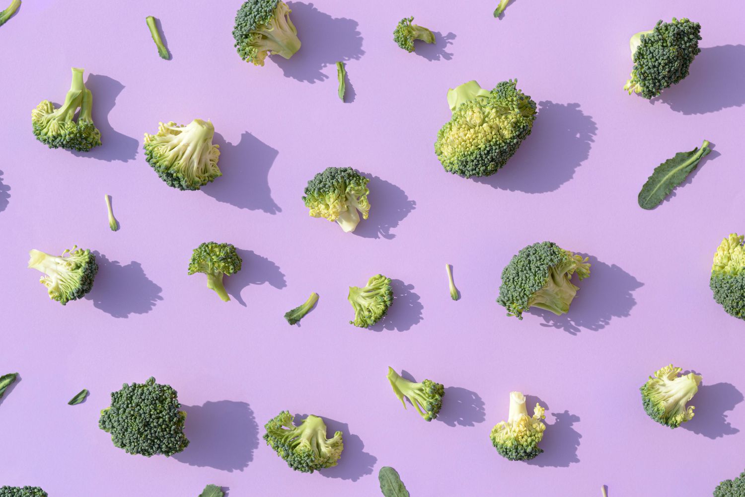 Broccoli arranged on a purple background. Organic fresh healthy food concept. Aesthetic wallpaper.