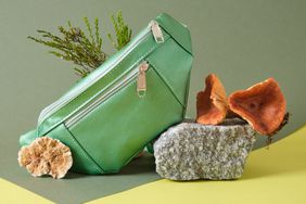 green belt bag made of eco leather on a stone, vegan leather from mushroom mycelium concept, leather from plants and mushrooms to replace animal leather