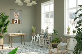 sage green living room