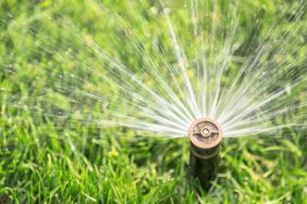 when-to-water-grass-GettyImages-475321957